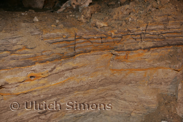 sim_buschtunnel_20060809_18